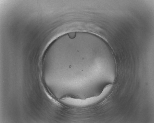 X0000066951515200604142036