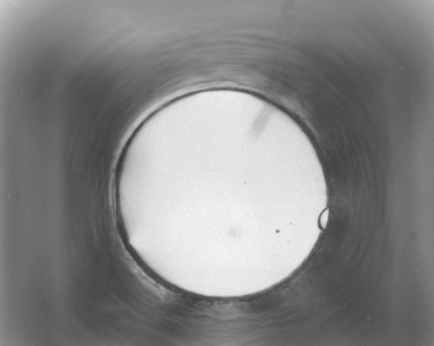 X0000066951516200604142036