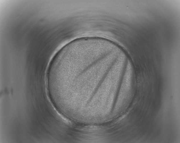 X0000066951517200604142036