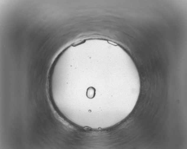 X0000066951518200604142036