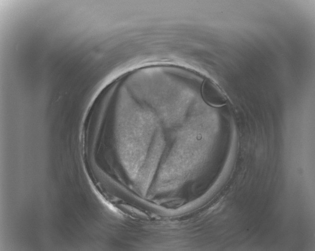 X0000066951519200604142036