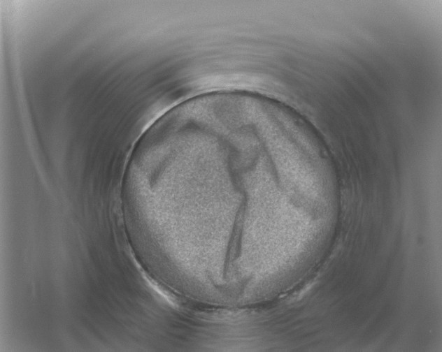 X0000066951521200604142036