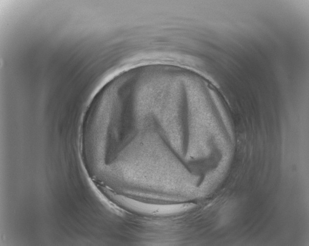 X0000066951523200604142036