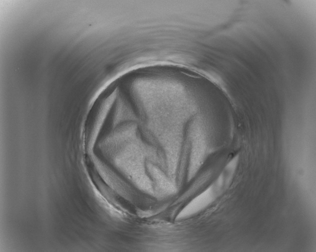 X0000066951524200604142036