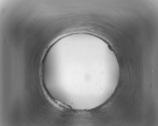 X0000066951526200604142036