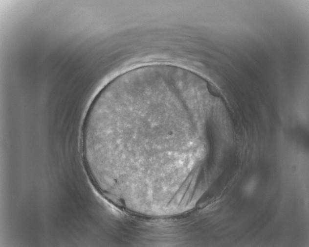 X0000066951527200604142036