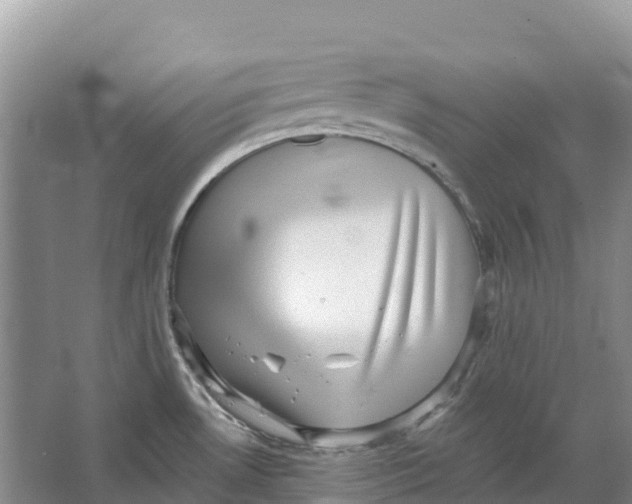 X0000066951530200604142036