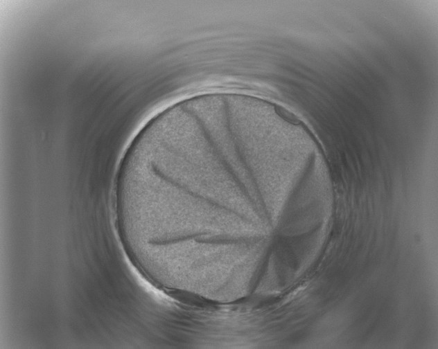 X0000066951531200604142036