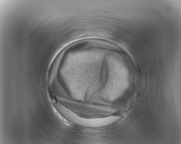 X0000066951532200604142036