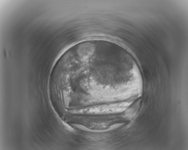 X0000066951533200604142036