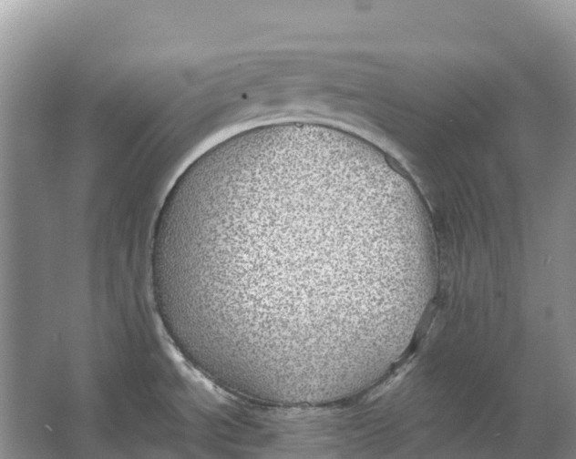 X0000066951534200604142036