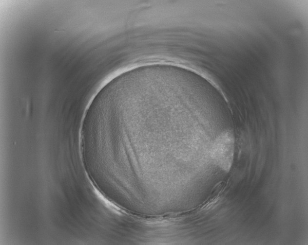 X0000066951535200604142036