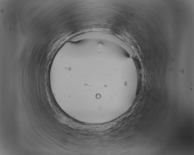 X0000066950001200604211827