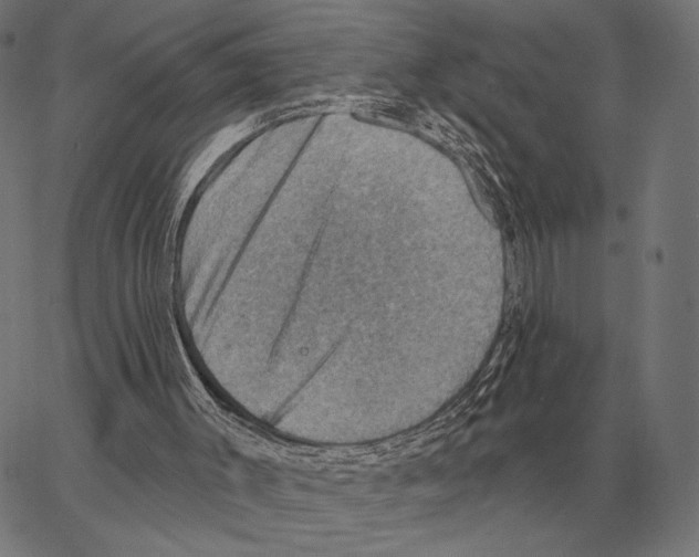 X0000066950003200604211827