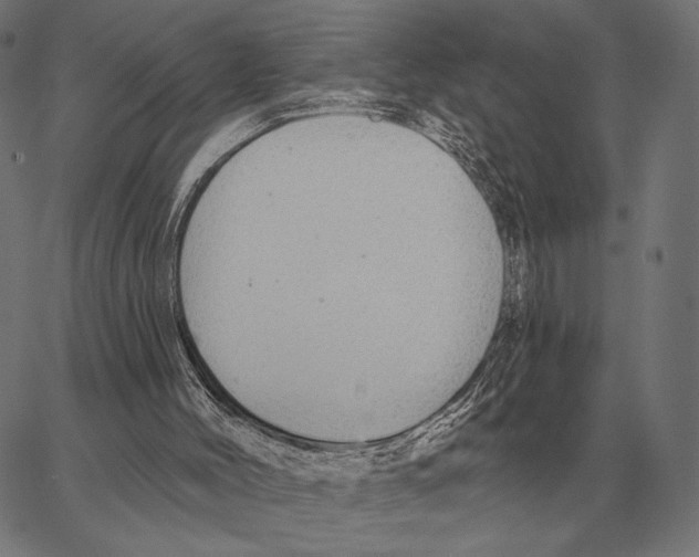 X0000066950004200604211827