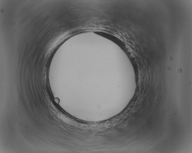 X0000066950005200604211827