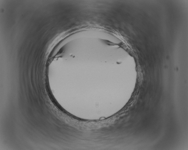 X0000066950007200604211827