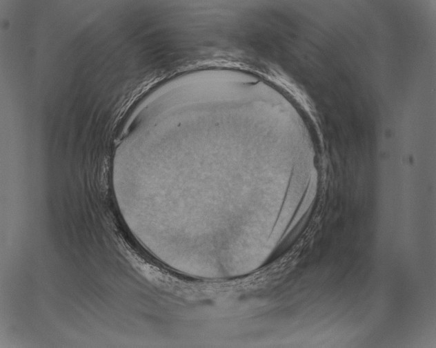 X0000066950009200604211827