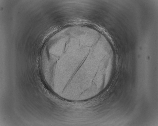 X0000066950010200604211827