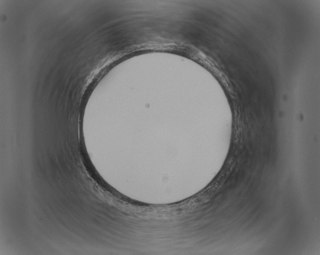 X0000066950011200604211827