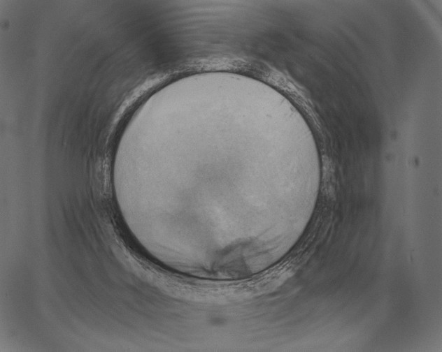 X0000066950012200604211827