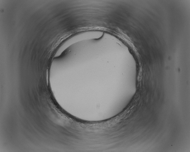 X0000066950013200604211827