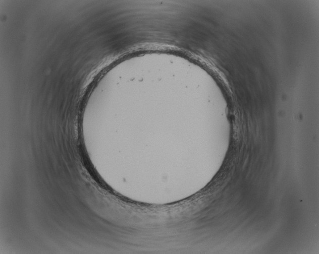 X0000066950015200604211827