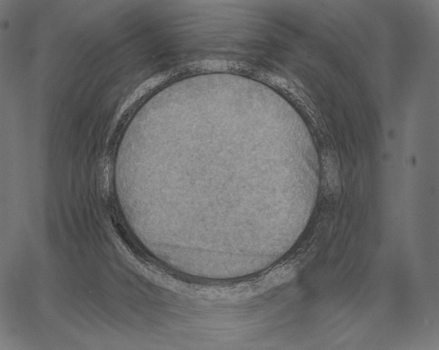 X0000066950016200604211827