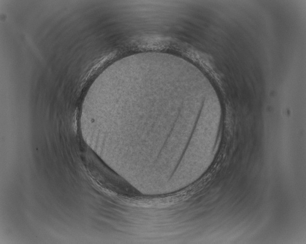 X0000066950017200604211827