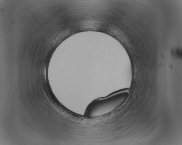 X0000066950021200604211827