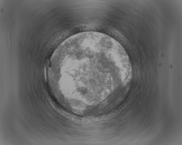 X0000066950022200604211827