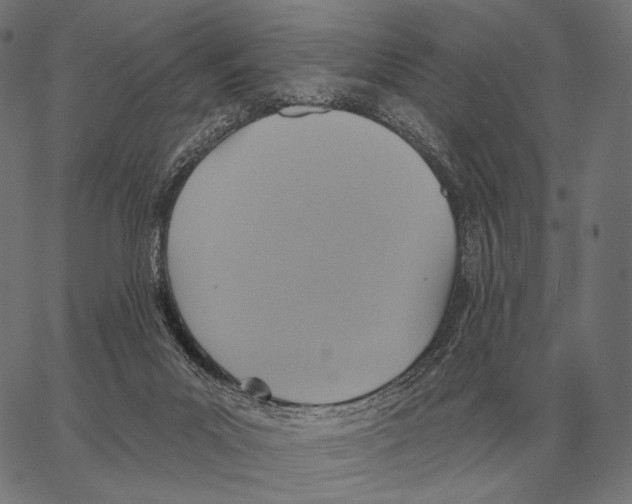 X0000066950023200604211827