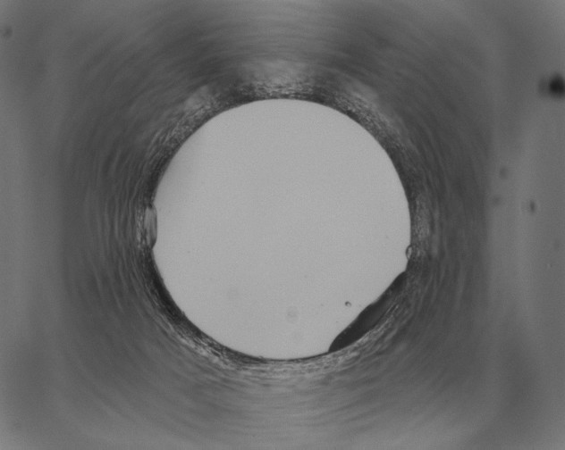 X0000066950025200604211827