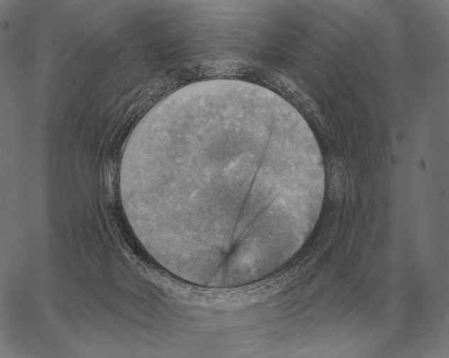 X0000066950026200604211827