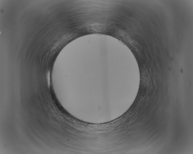 X0000066950027200604211827