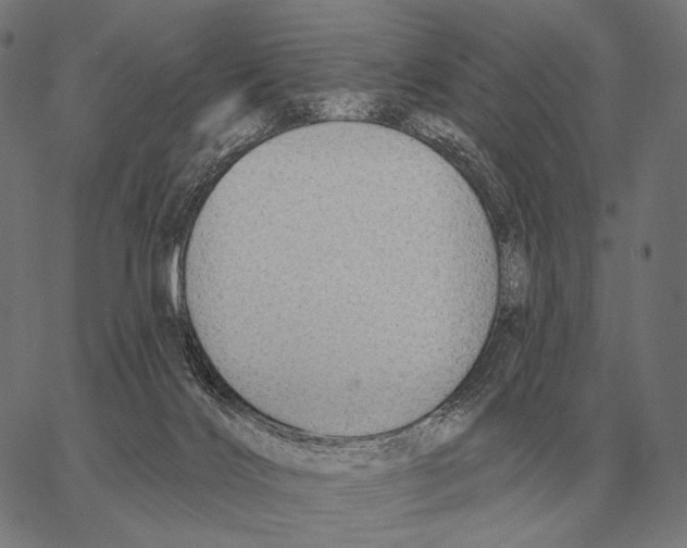 X0000066950028200604211827