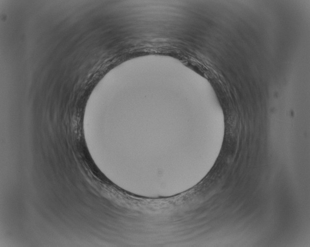 X0000066950031200604211827