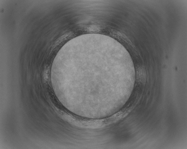 X0000066950032200604211827