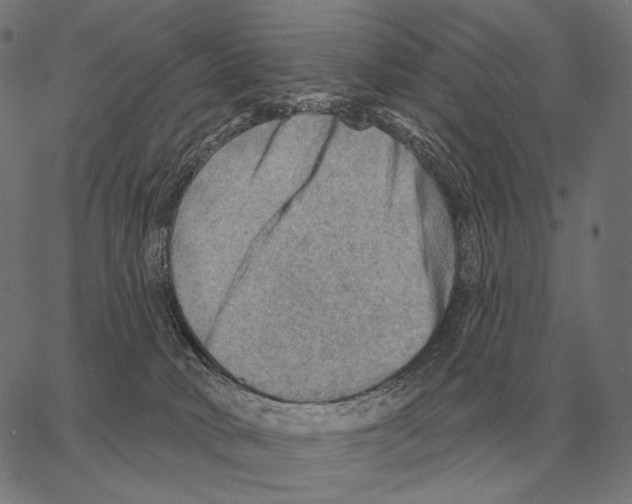 X0000066950034200604211827