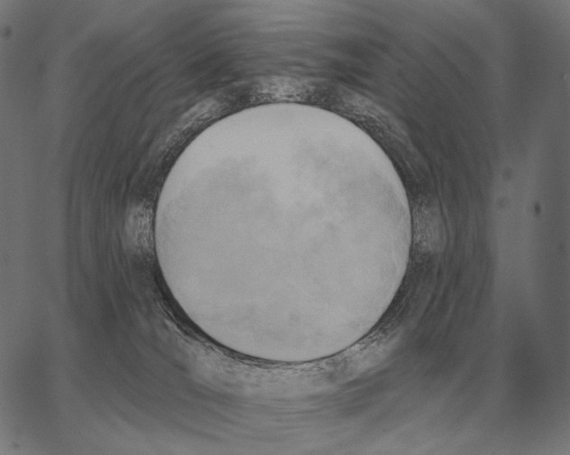 X0000066950036200604211826