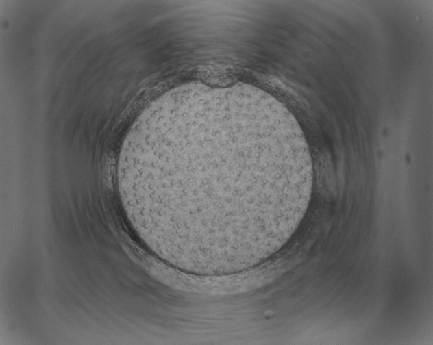 X0000066950038200604211826