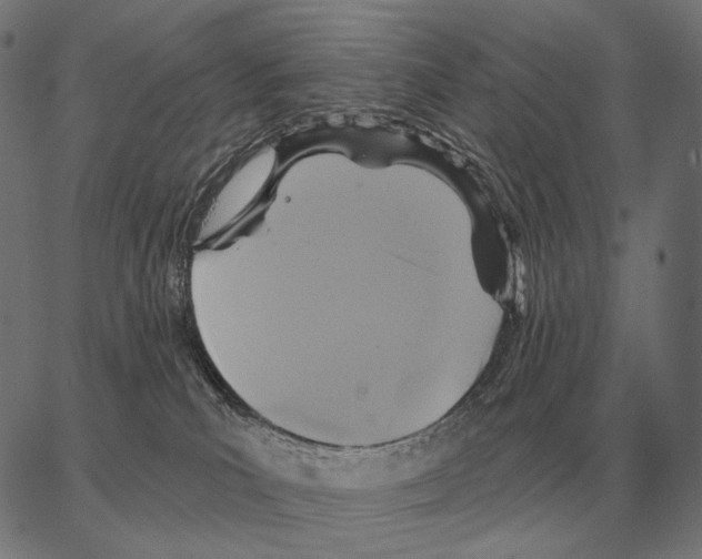 X0000066950039200604211826