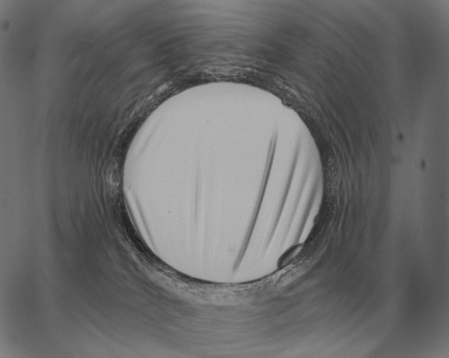 X0000066950040200604211826