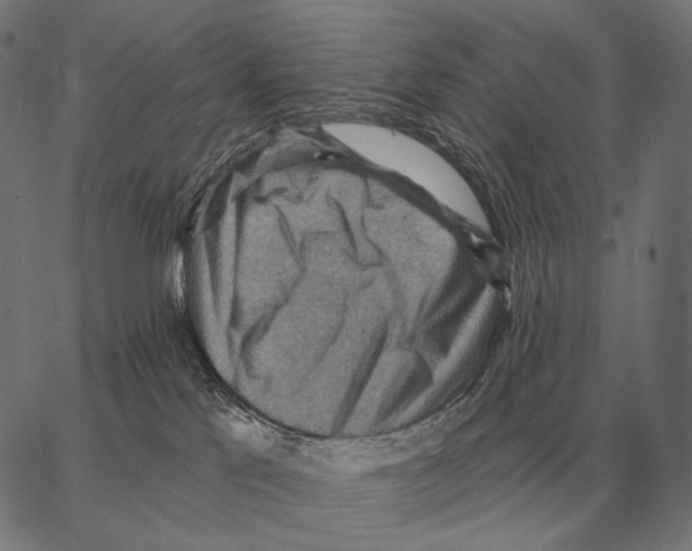 X0000066950041200604211826