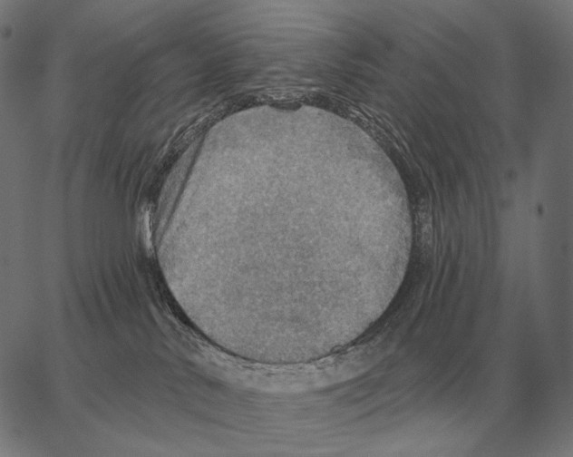 X0000066950042200604211826