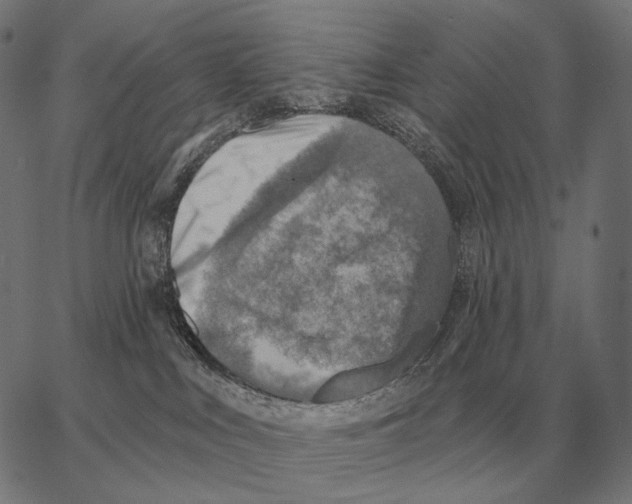 X0000066950043200604211826