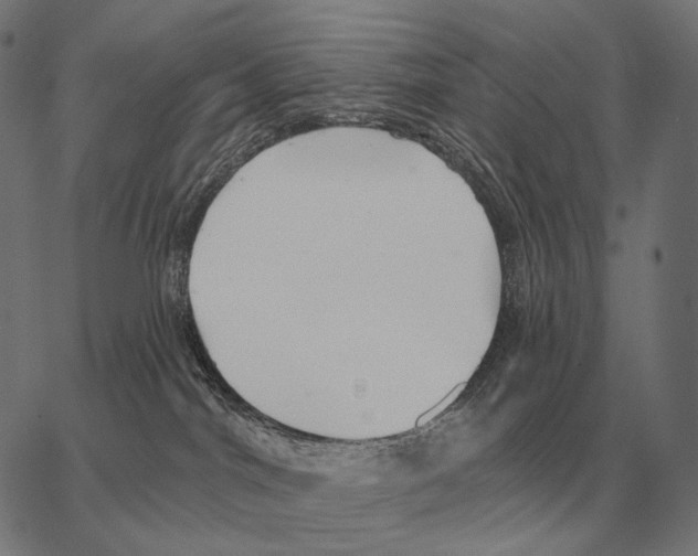 X0000066950044200604211826