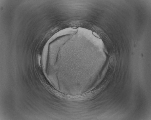 X0000066950046200604211826