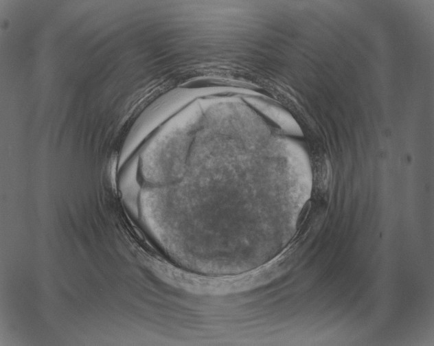 X0000066950047200604211826