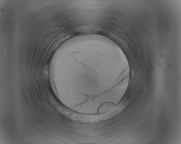 X0000066950048200604211826